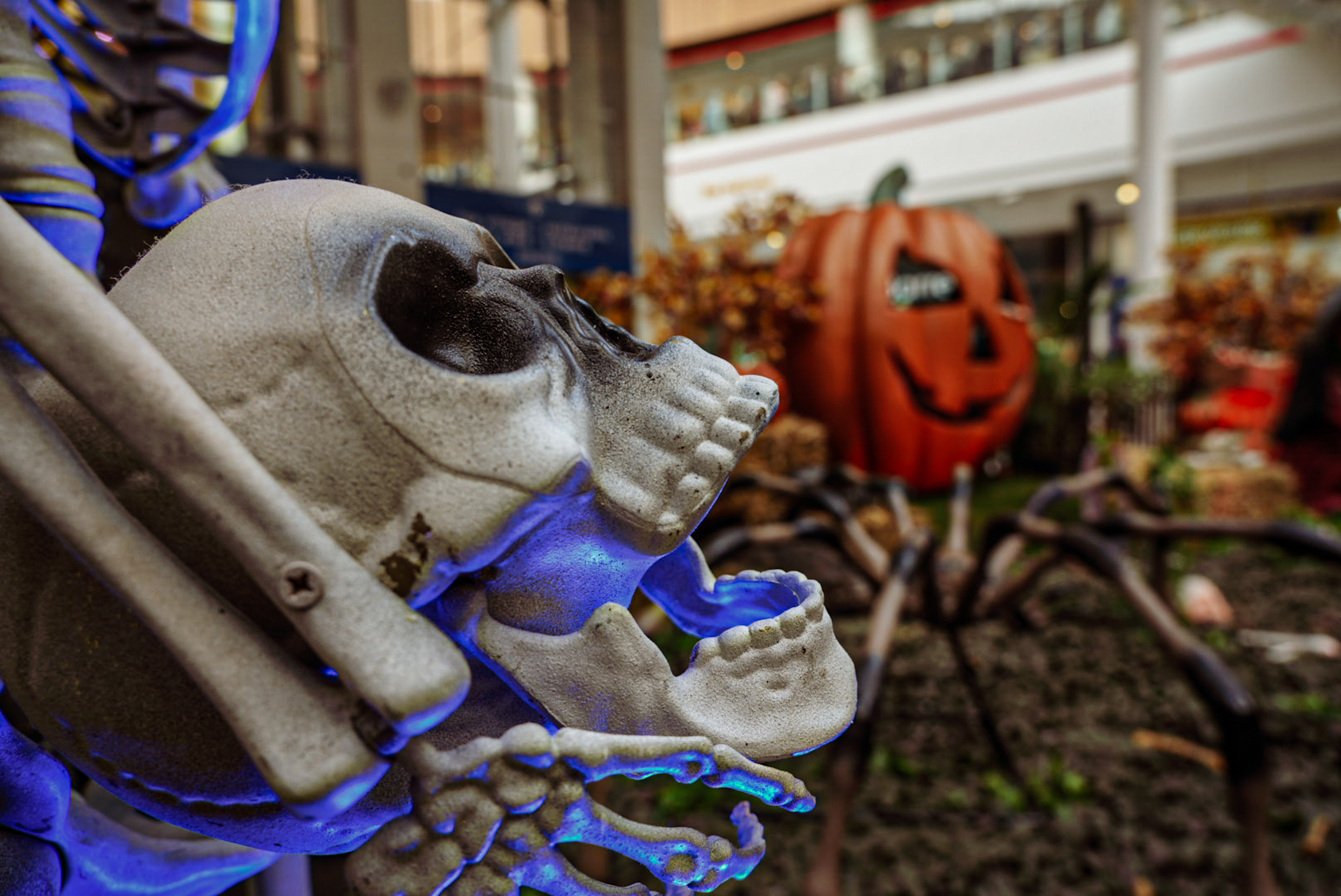 Halloween Trail at White Rose