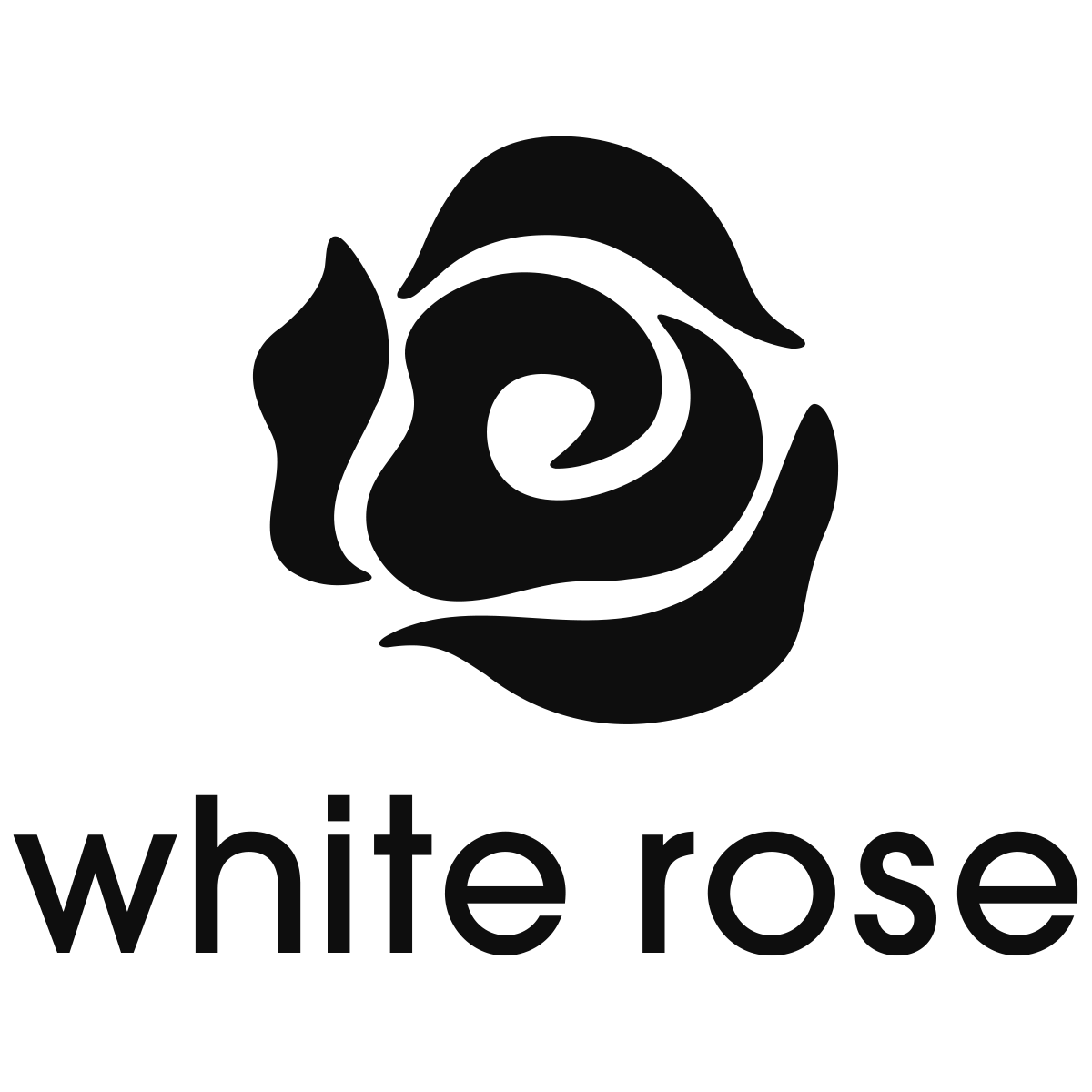 White Rose logo with a stylized, abstract black rose.