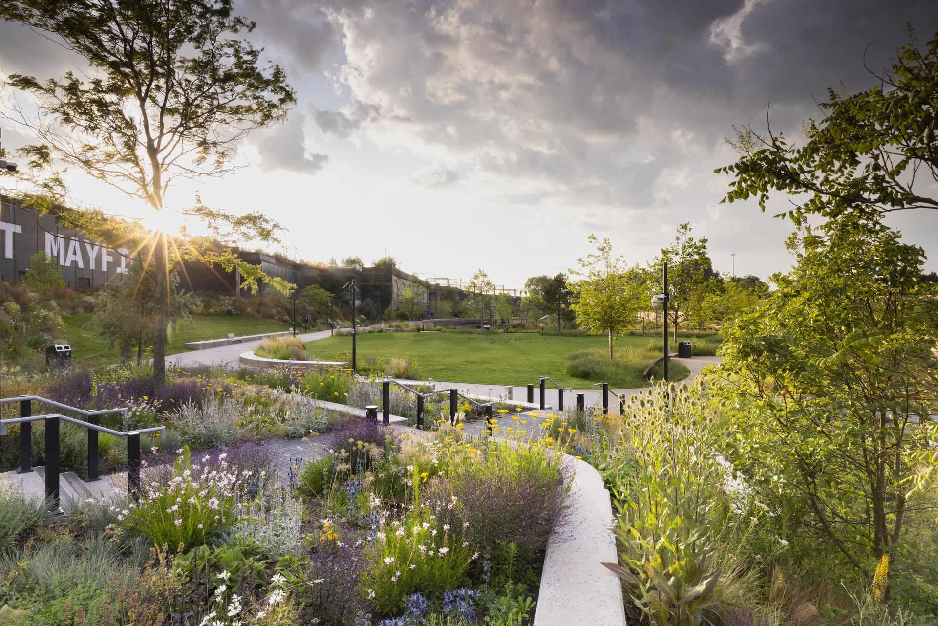 Scenic park landscape with pathways, lush greenery, and the sun shining through trees.