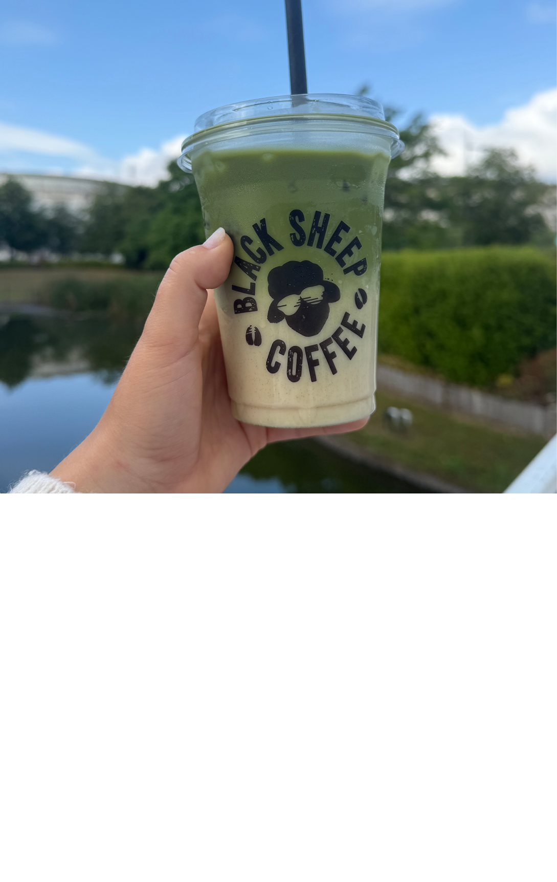Black Sheep Matcha