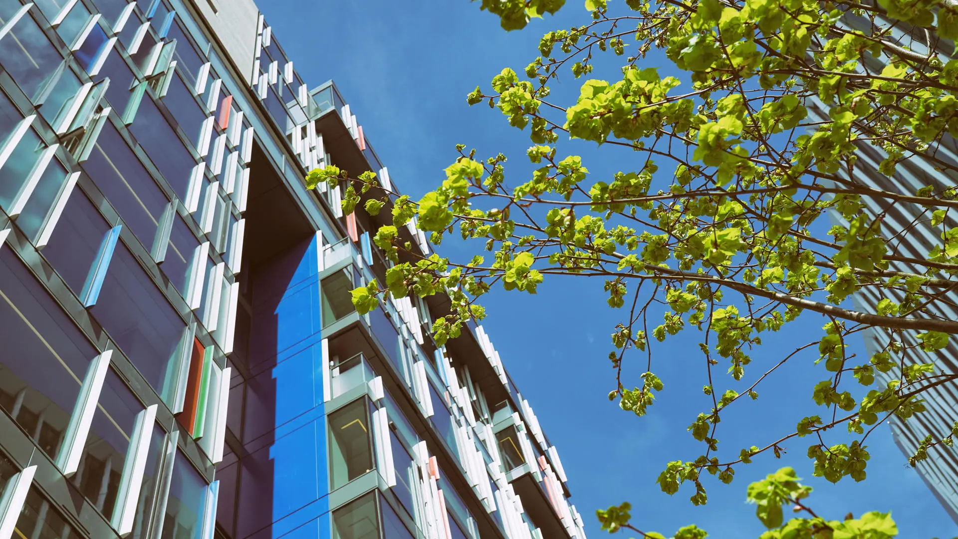 Modern building with glass facade and colorful panels against blue sky.