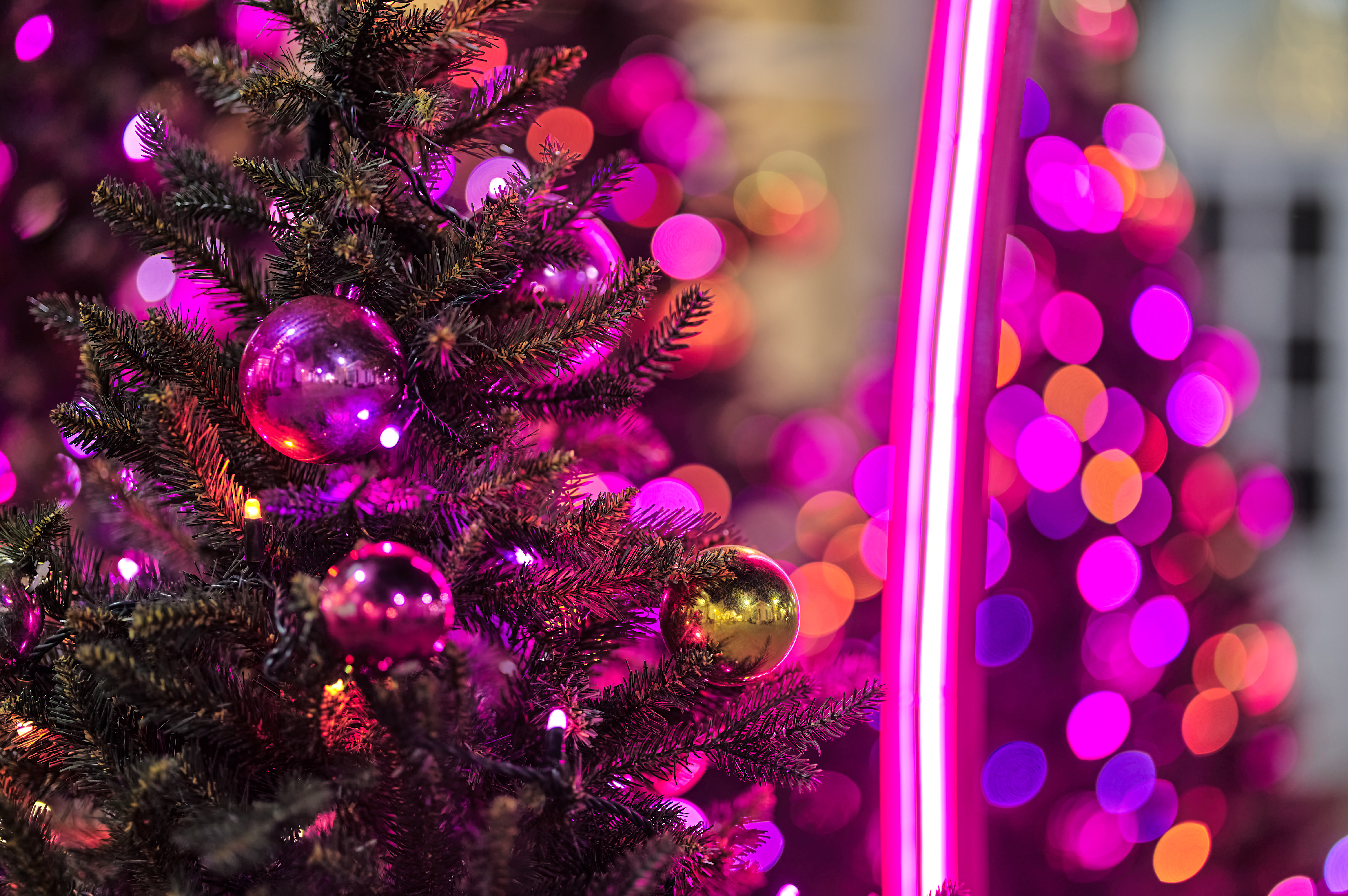 Braintree Village Christmas Market