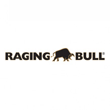 Raging Bull logo