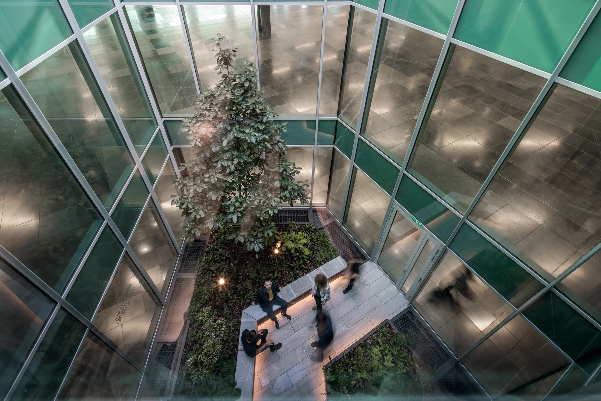 Glass-walled atrium with central tree and people sitting on benches viewed from above