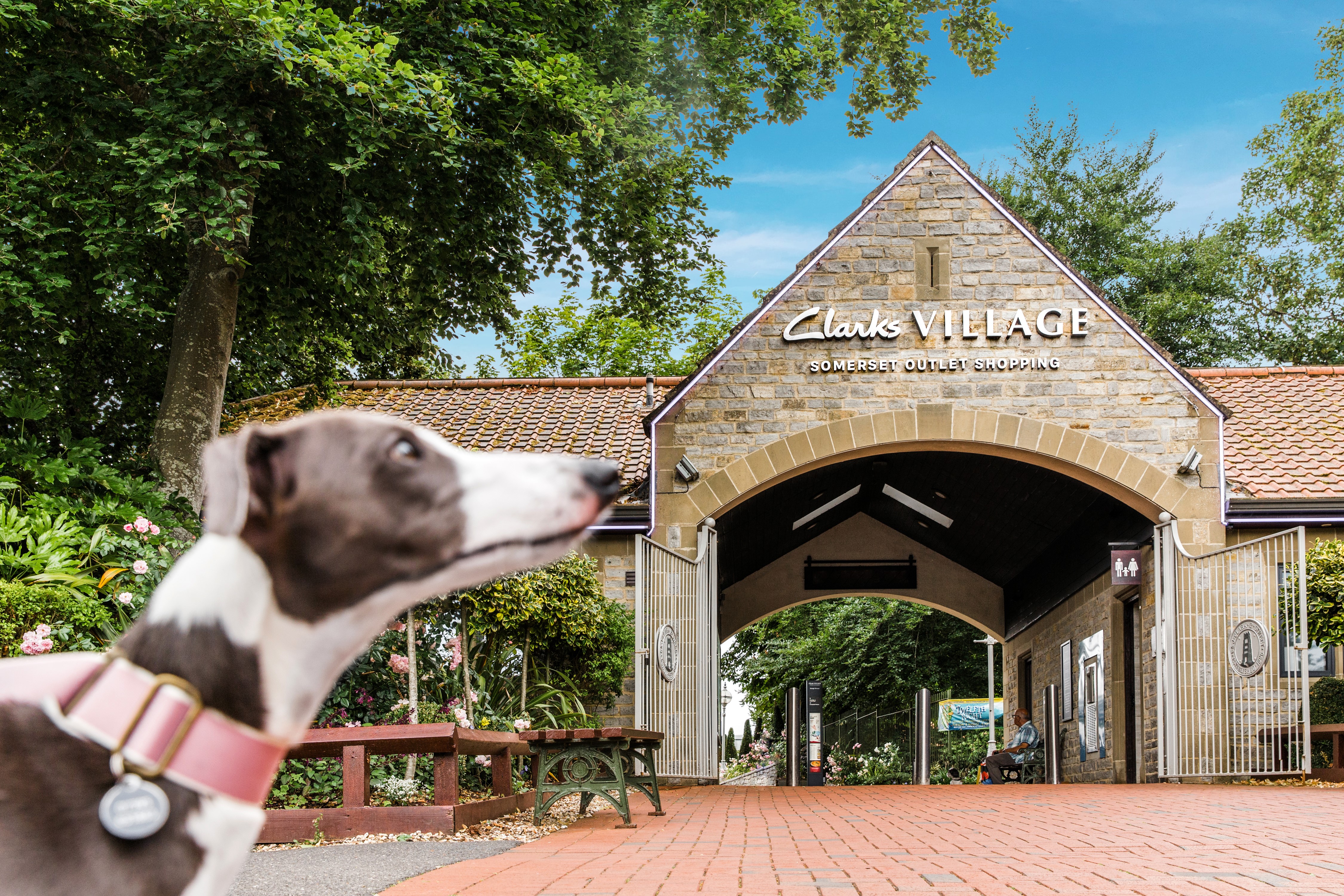 a stone frontage that says Clarks Village with a dog's head in the left foreground
