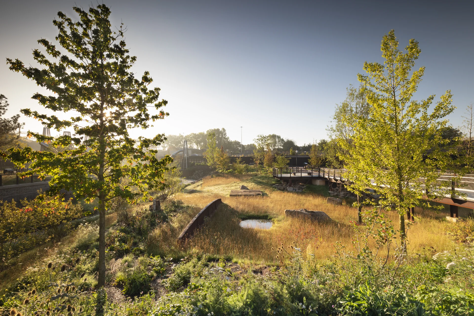 **Mayfield Park** image by Richard Bloom: A reclaimed landscape with tall grasses, small water feature, industrial remnants, and a raised wooden walkway.