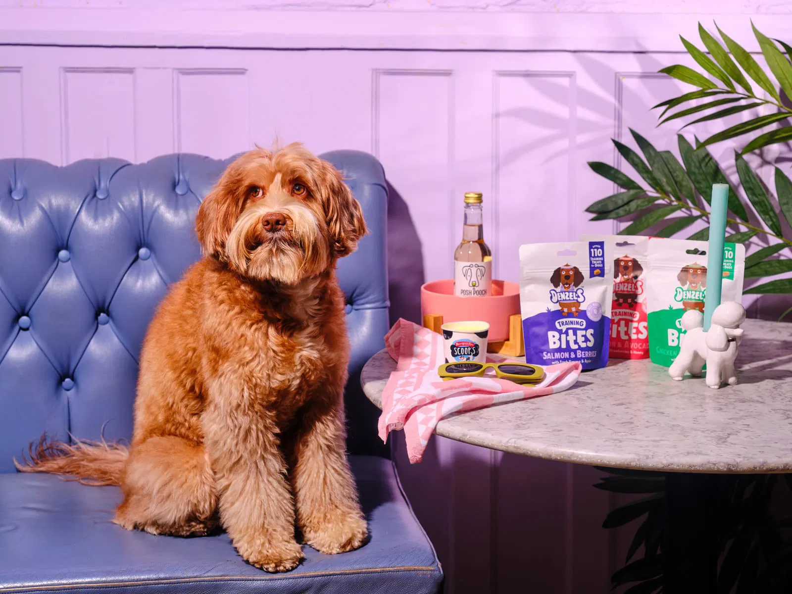 a dog sitting next to a table with dog treats and drinks
