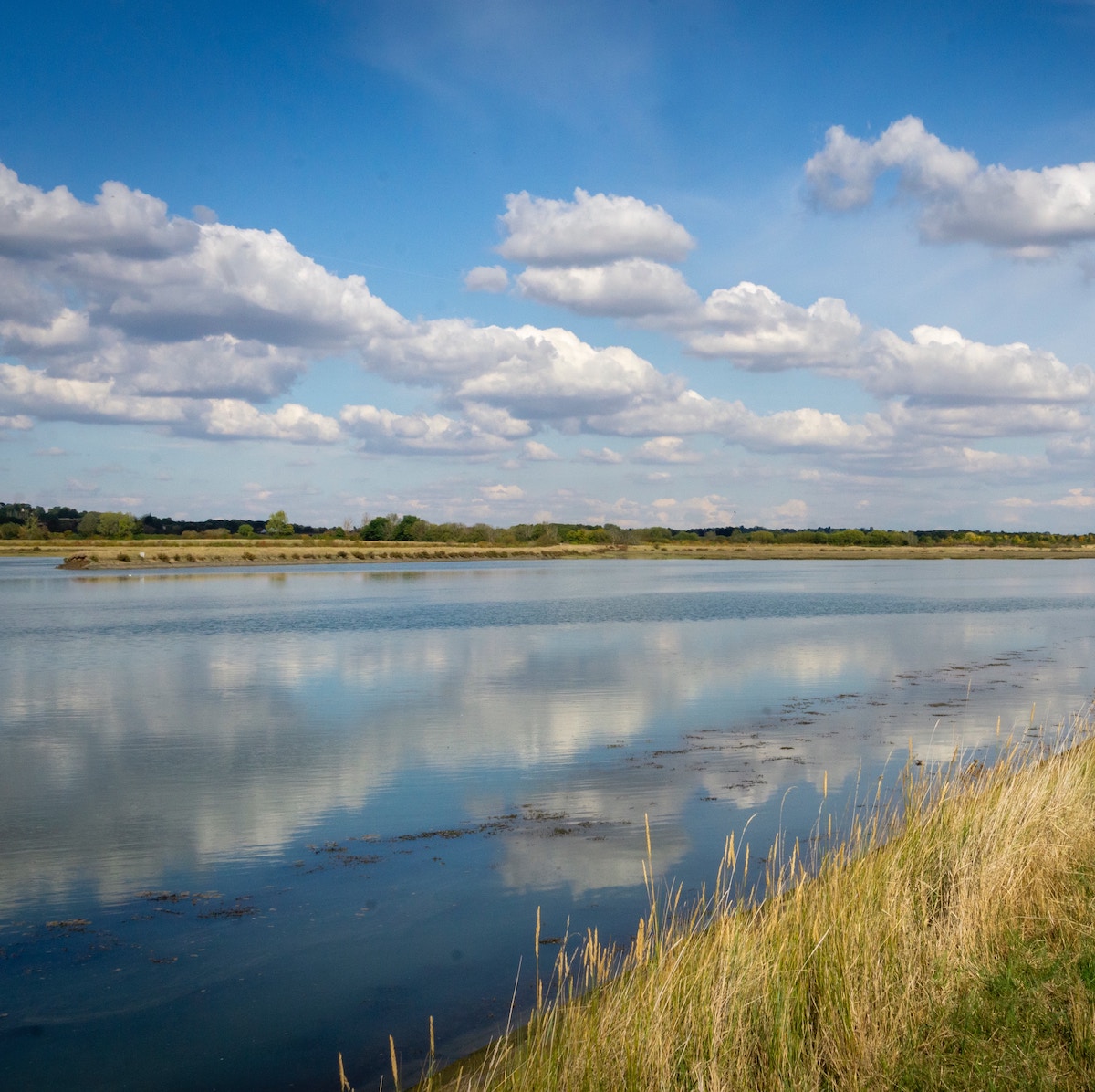 Salt Marshes © Chay Kelly